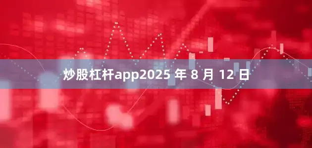 炒股杠杆app2025 年 8 月 12 日