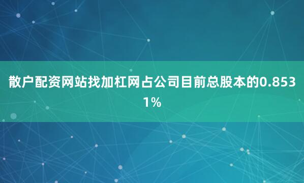 散户配资网站找加杠网占公司目前总股本的0.8531%